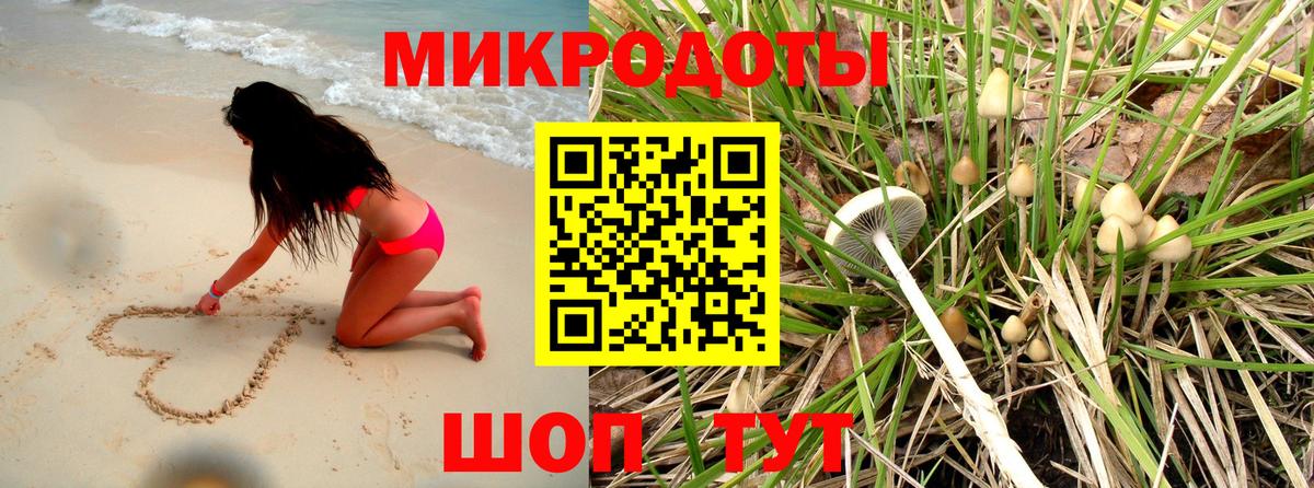 Псилоцибиновые грибы Psilocybe  Вход с VPN  Дюртюли 